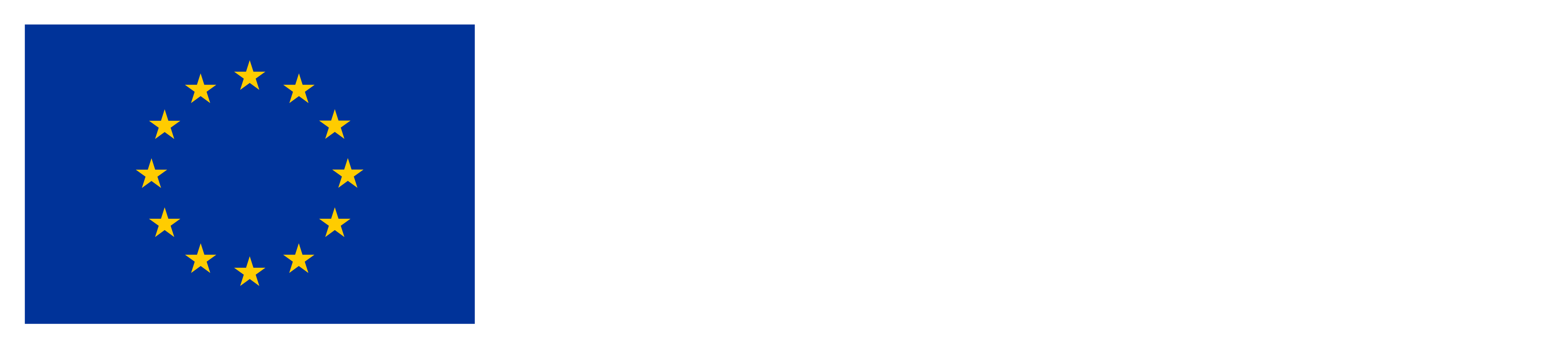 Co-funded by EU Logo